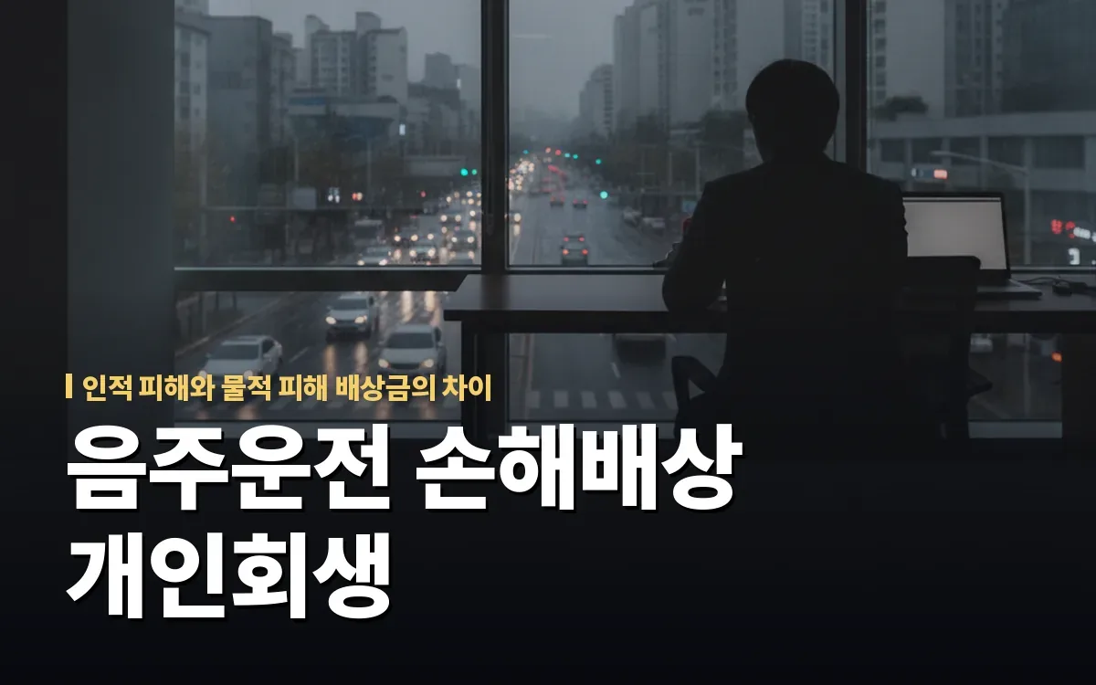 음주운전 피해자 손해배상금 개인회생 비면책채권 여부와 확인점